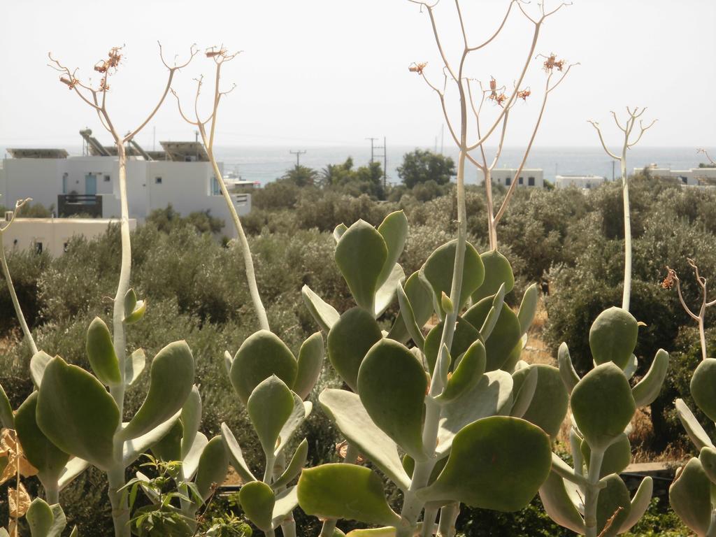 Villa Perivoli Platis Gialos  Exteriér fotografie